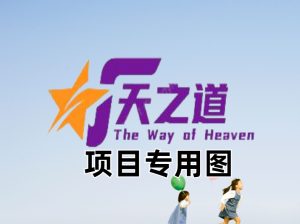 视频号下载工具-小白点视频号下载工具v3版本-天之道创业网