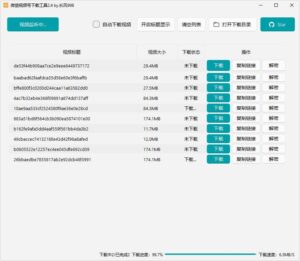 微信视频号下载工具(支持直播回放、直播流) v2.4 中文绿色版-天之道创业网